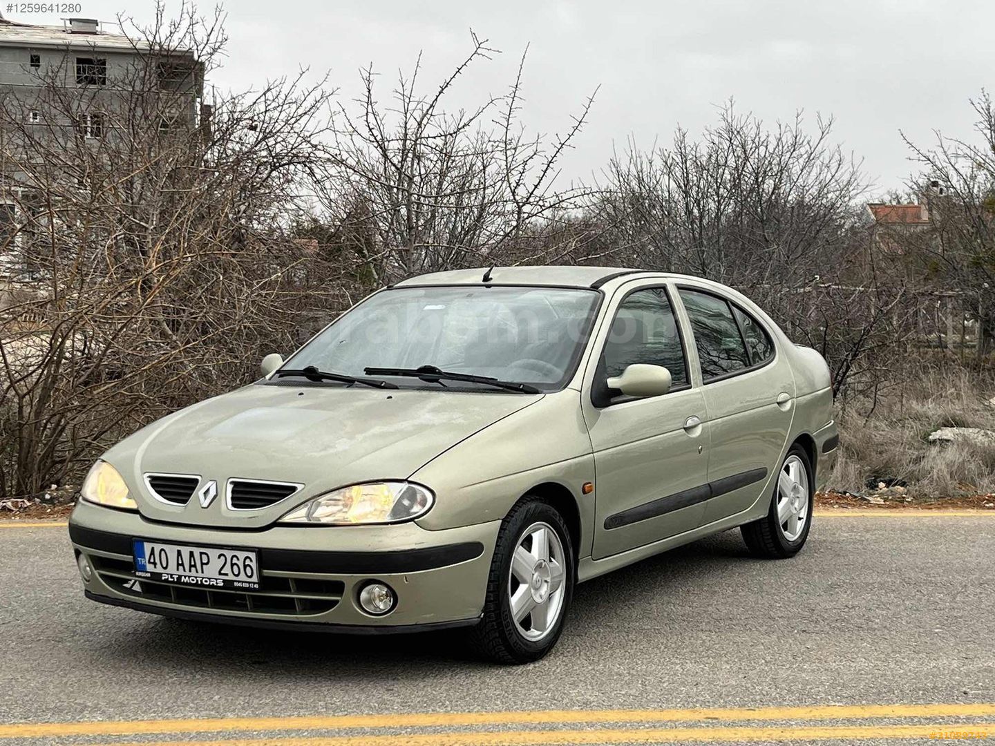 PLT MOTORSDAN DEĞIŞENSIZ IHLAMUR ÇİÇEĞİ