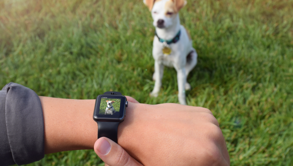 Çift kameralı Apple Watch kayışı!