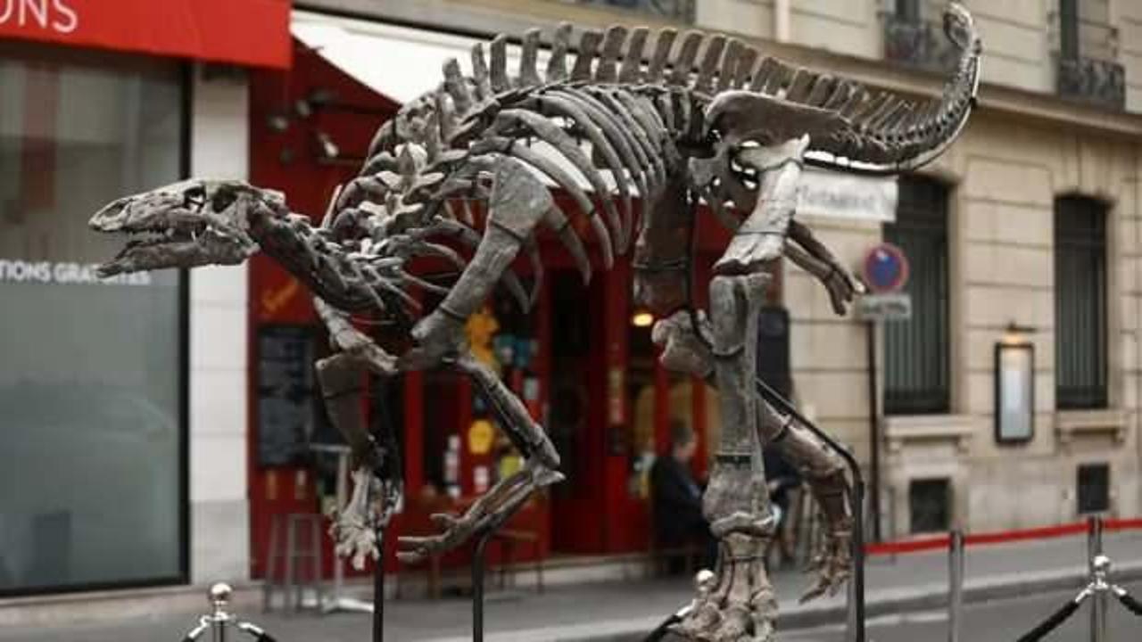 Dinozorlara dair büyük keşif: Ayak izleri eşleşti
