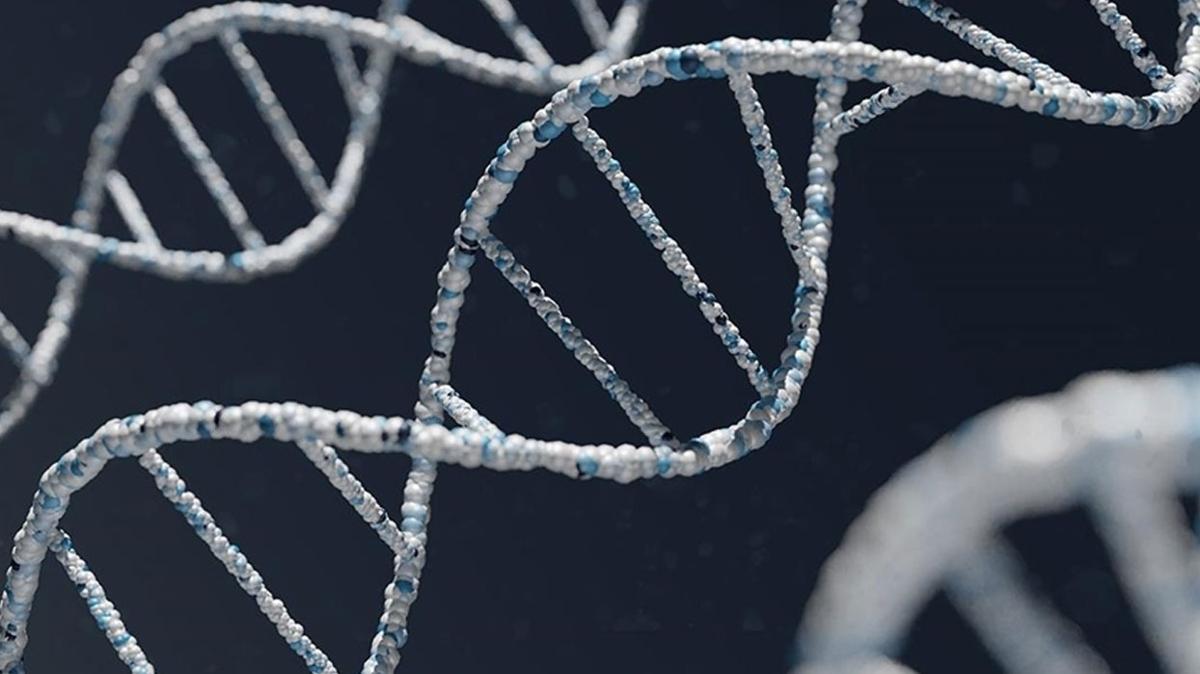 Grönland'da 2 milyon yıllık DNA örneğine rastlandı