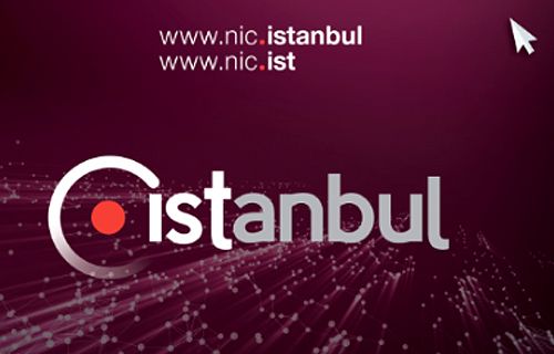 İstanbul alan adı 20 günde 20 bine ulaştı.